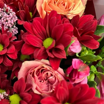 Author's bouquet of red spray Chrysanthemums and coral Roses